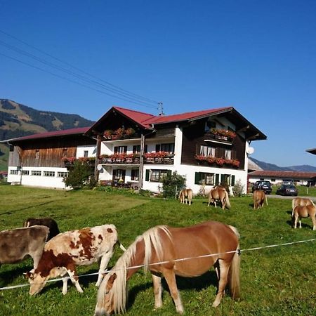 Haflinger Hof Obermaiselstein Exterior foto